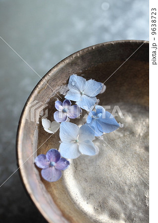 紫陽花　 9638723