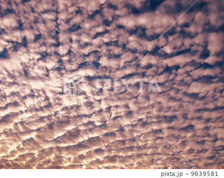 ひつじ雲 9639581