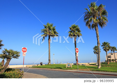ロサンゼルスの海岸通 ロサンゼルスの海岸通 9639995