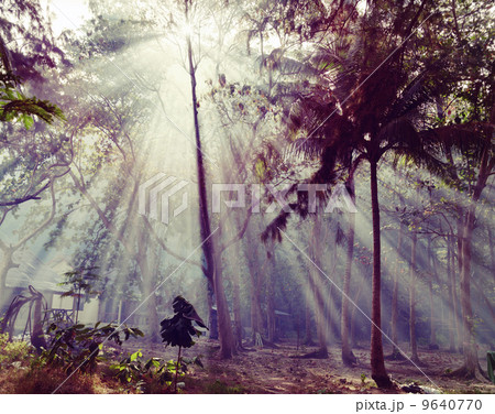 Sunlight rays 9640770