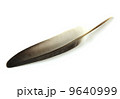 feather isolated on white background 9640999