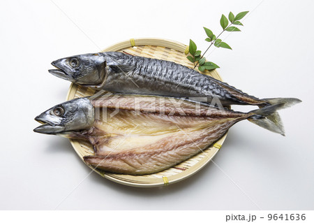 さばの干物 さばの干物 9641636