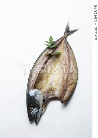 さばの干物 さばの干物 9641640