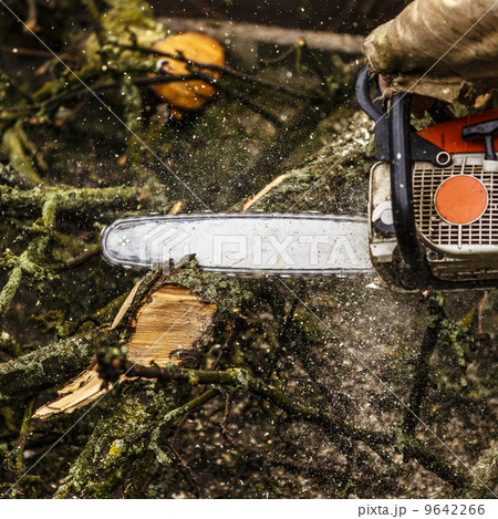 Man sawing a log in his back yard Man sawing a log in his back yard 9642266