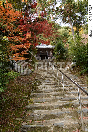 京都市右京区にある二尊院の法然上人廟と紅葉 9642602
