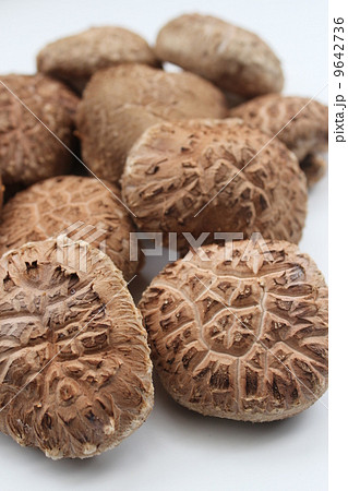 シイタケ シイタケ 9642736