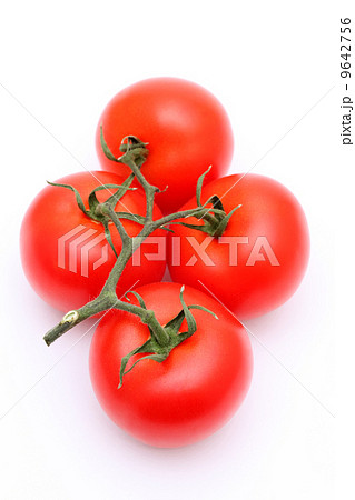 トマト 9642756