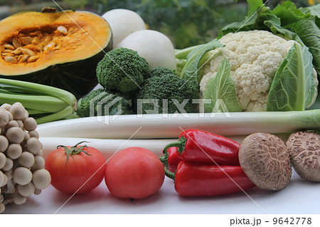 野菜 9642778