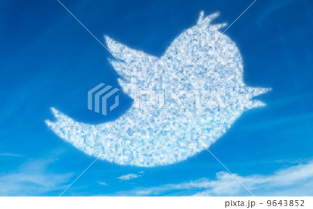 White bird in sky White bird in sky 9643852