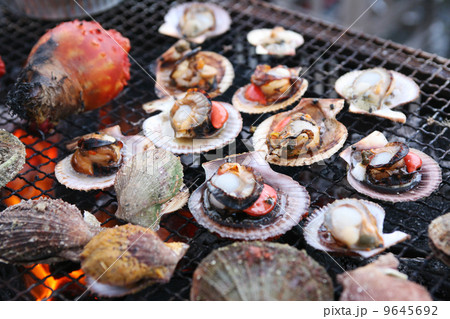 海鮮バーベキュー 9645692