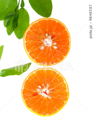 Orange slices on a white background. 9646597