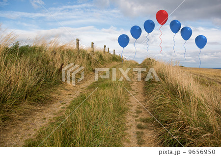 Balloons above sand dunes 9656950