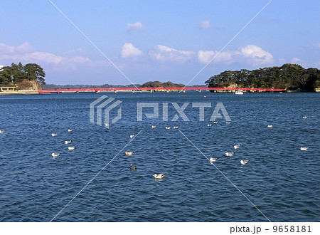 宮城県の松島(福浦島んおであい橋) 宮城県の松島(福浦島んおであい橋) 9658181