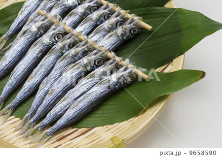 うるめいわしの干物 9658590