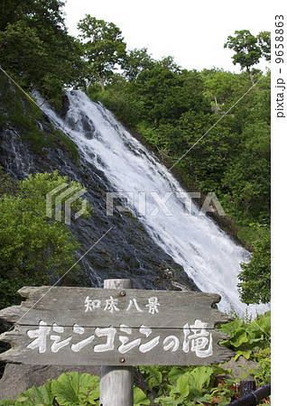 オシンコシンの滝 9658863