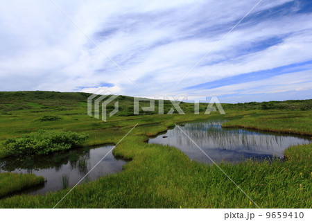 夏の月山弥陀ヶ原 9659410