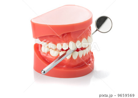 dental jaw model with dental mirror 9659569