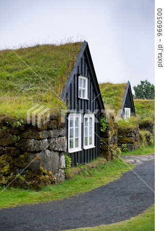 Overgrown Typical Rural Icelandic house at overcast day 9660500