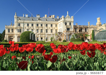Tulips in front of the Lednice Castle 9660877