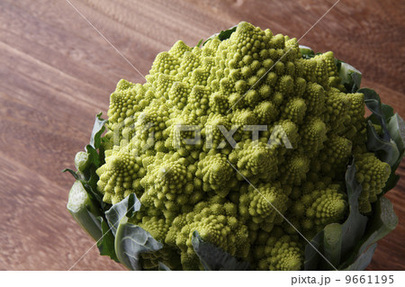 ロマネスコ 9661195