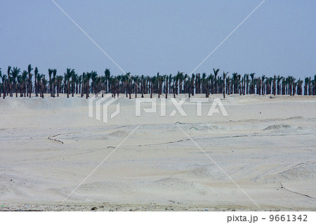 スエズ運河 9661342