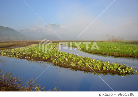 爽春の朝の写真素材