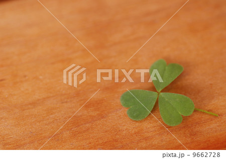 ハートの葉 9662728