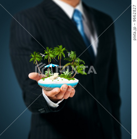 tropical island 9662827