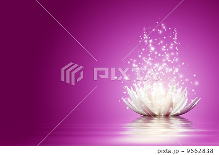 Lotus flower 9662838