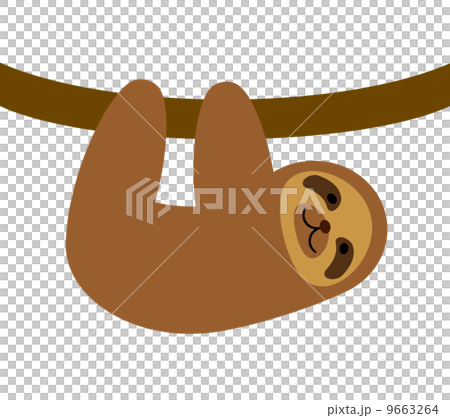 ナマケモノ 9663264