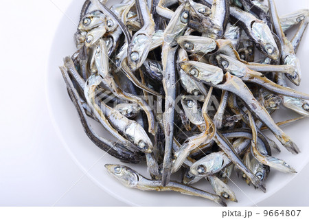 煮干し 9664807