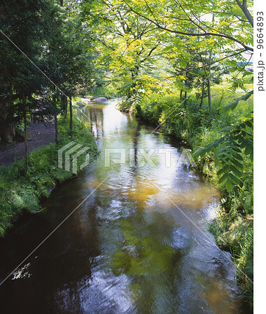 遠野 かっぱ淵 遠野 かっぱ淵 9664893