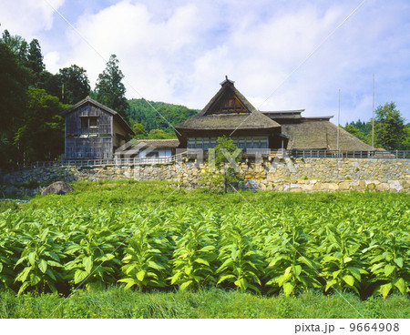 遠野 千葉家 遠野 千葉家 9664908