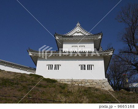 岡崎城東隅櫓 岡崎城東隅櫓 9665168