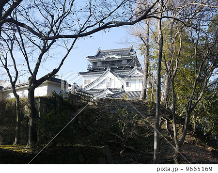 岡崎城天守閣 9665169