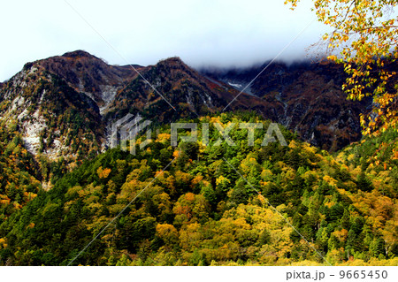 涸沢カールの紅葉 9665450