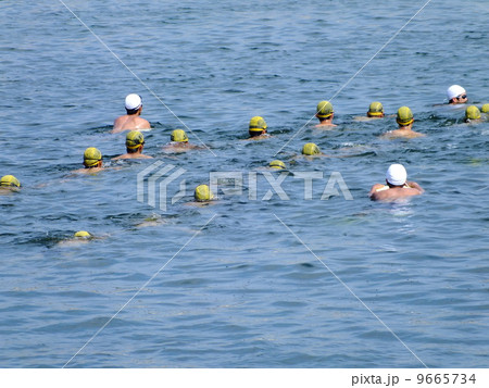 水泳訓練 水泳訓練 9665734