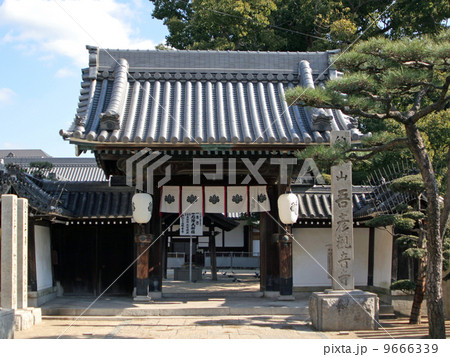 あびこ観音・山門 あびこ観音・山門 9666339