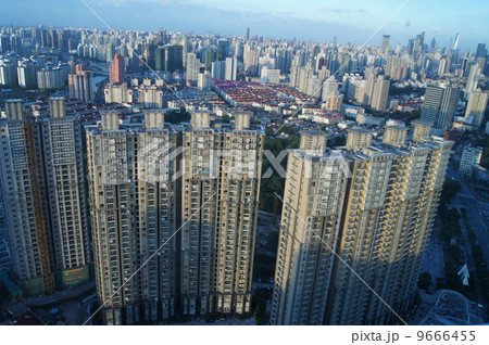 上海 上海 9666455