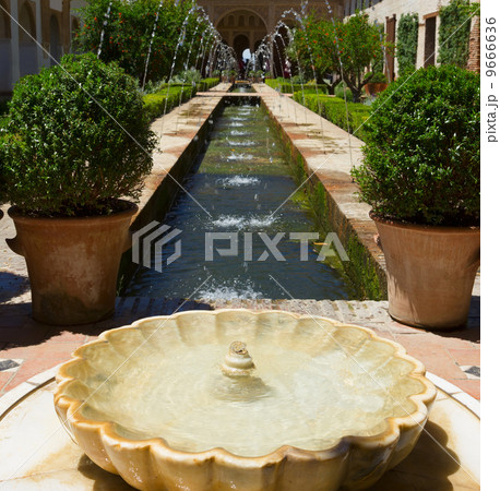 Generalife gardens, Granada, 9666636