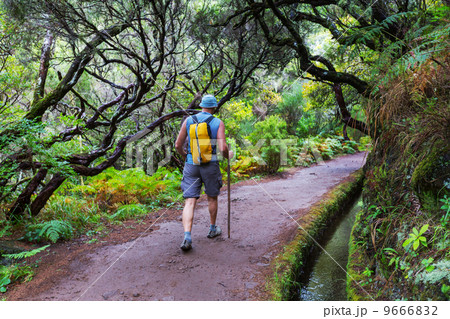 Hike on Madeira 9666832