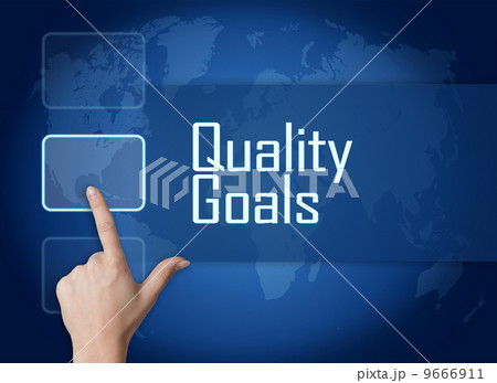 Quality Goals Quality Goals 9666911