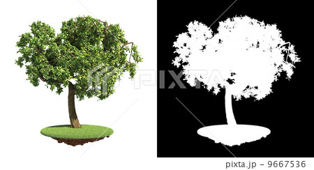 Green Tree Isolated on White Background. 9667536