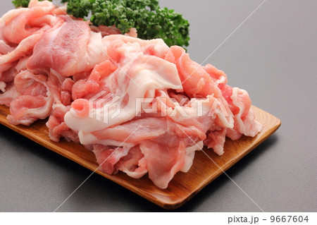 豚肉　切り落とし 9667604