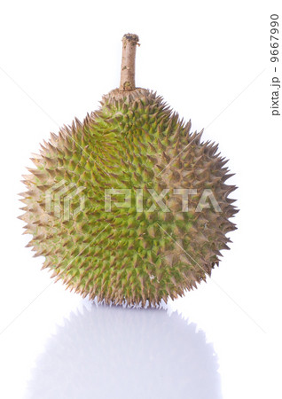 durian durian 9667990