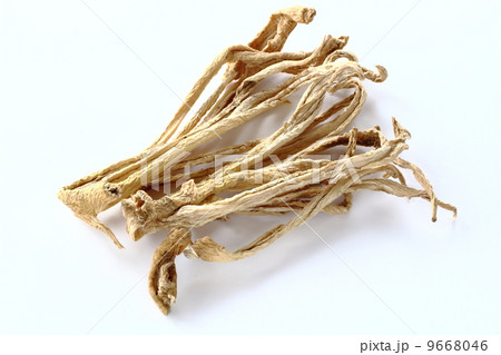 切干大根 9668046