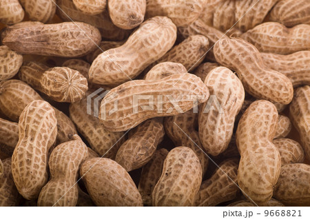 peanuts 9668821
