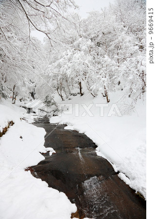 冬の作山川 9669415