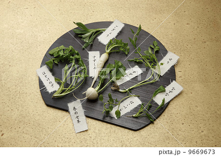 春の七草 春の七草 9669673