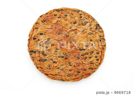 ごませんべい 9669718